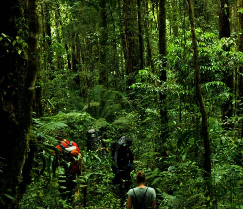 Sumatera Tiger Trek